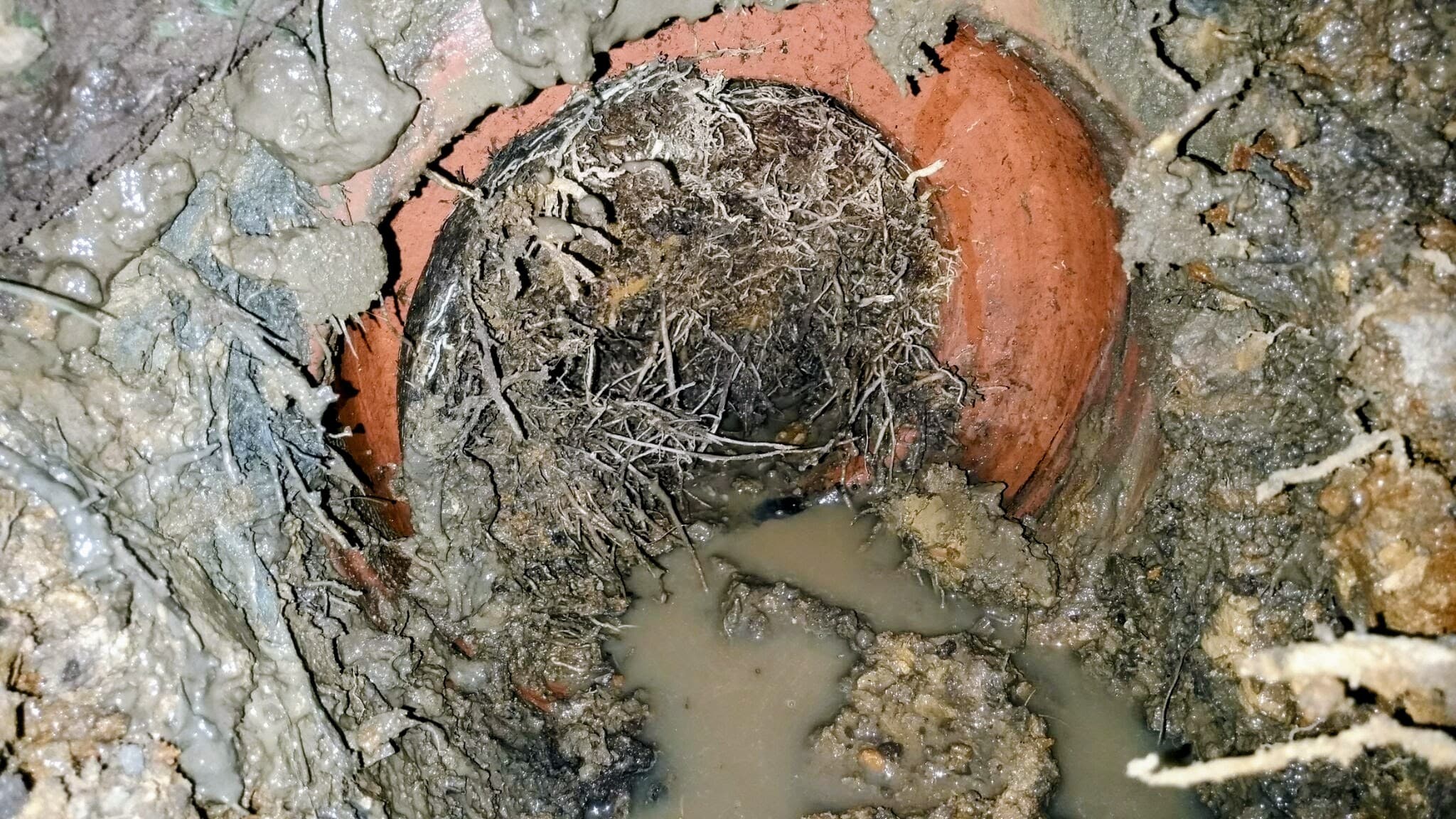 CCTV drain inspection